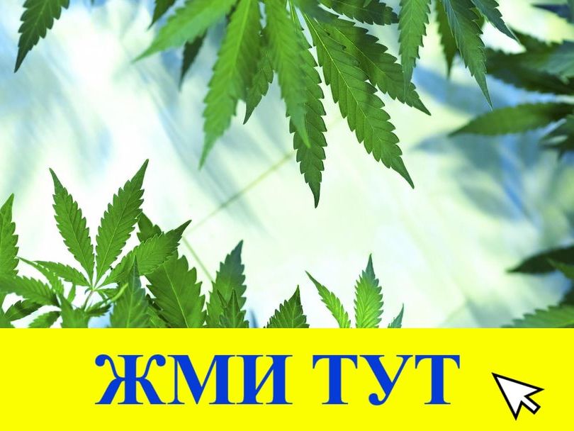 Купить наркотики в Тихорецке